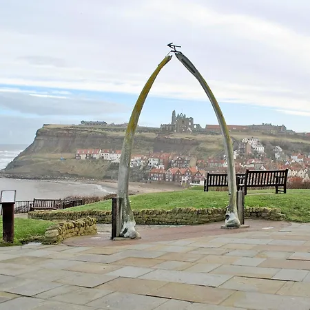 Cobweb * Whitby